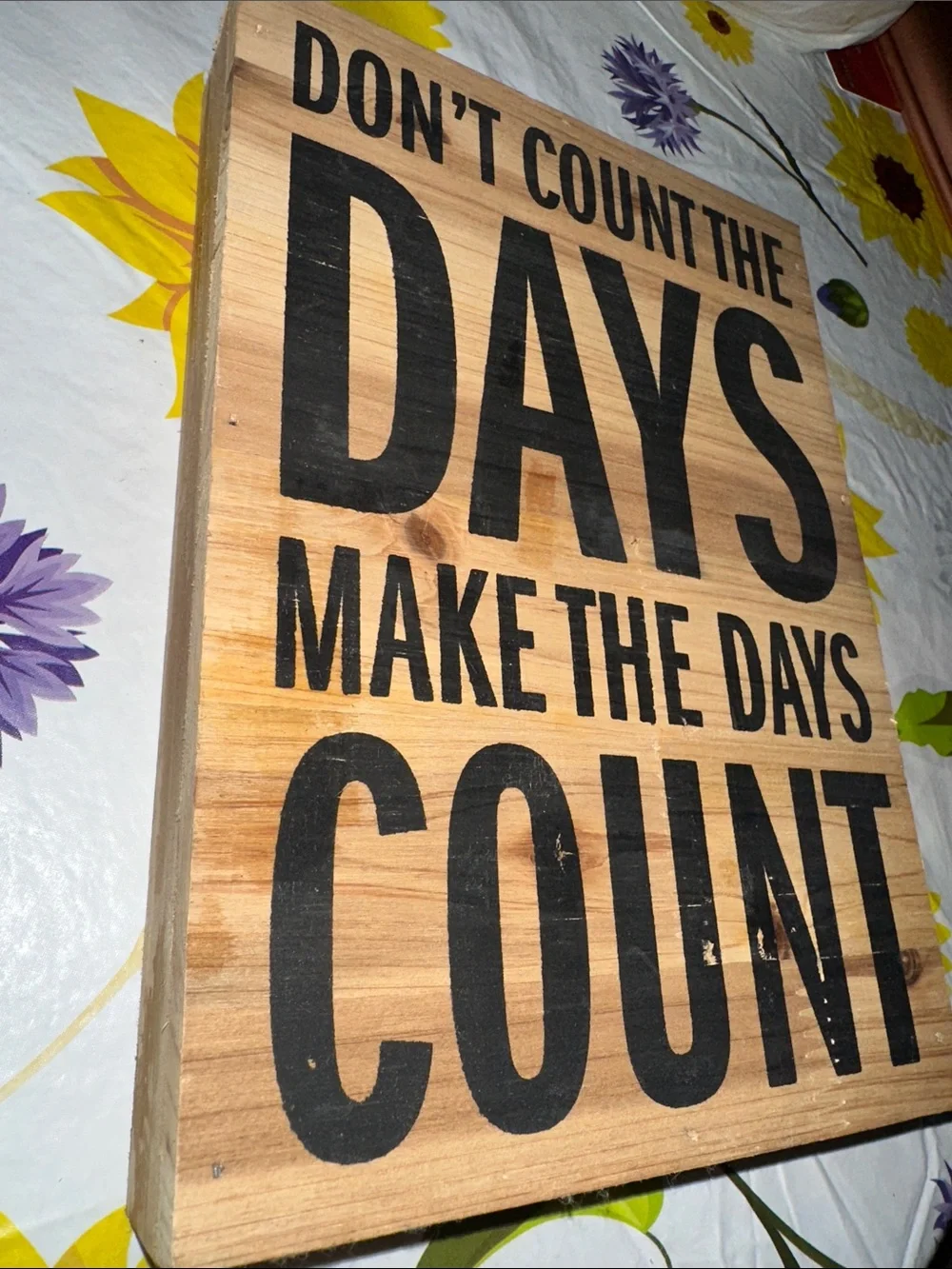 Rustic Wood 'Don't Count The Days' Wall Sign - Black on Natural 7x 10
